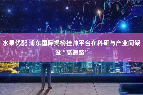 水果优配 浦东国际揭榜挂帅平台在科研与产业间架设“高速路”